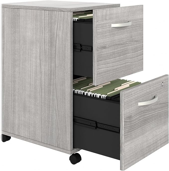 Bush Business Furniture Hybrid 2 Drawer Mobile File Cabinet-Assembled, Platinum Gray