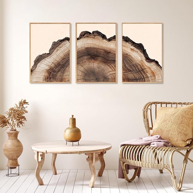 KAIRNE Framed Tree Ring Wall Art Set, Retro Wood Stump Wall Decor, Tree Spiral Wall Painting, Modern Nature Canvas Art Prints for Living Room, Bedroom, Dinning Room, Farmhouse - Large 16"x24"x3