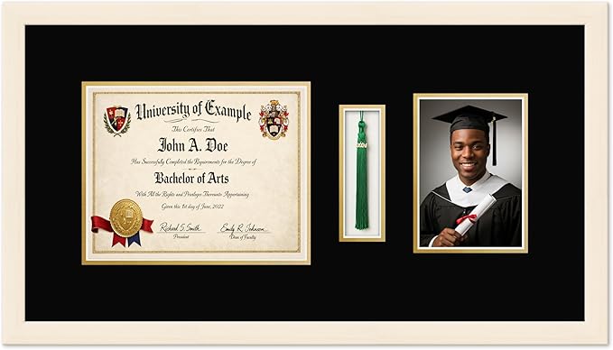 CountryArtHouse Diploma Tassel and Photo Shadowbox Fits 10 x 8 Professional License with Tassel Hook Coastal Whitewash Genuine Hardwood with Black Over Metallic Gold Double mat