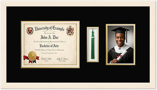 CountryArtHouse Diploma Tassel and Photo Shadowbox Fits 10 x 8 Professional License with Tassel Hook Coastal Whitewash Genuine Hardwood with Black Over Metallic Gold Double mat