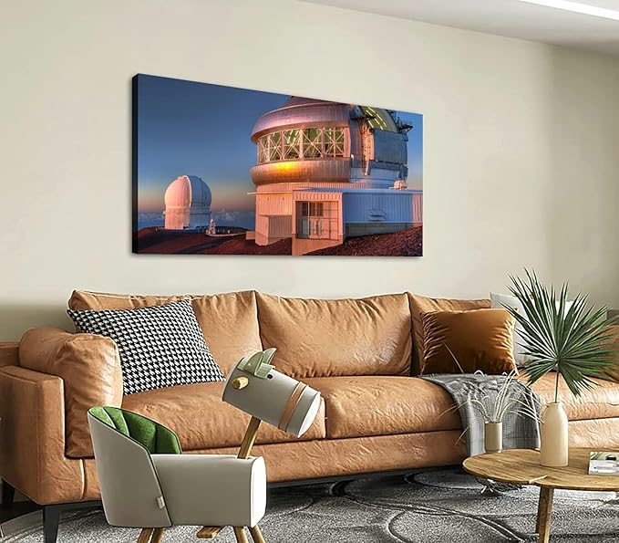 Canvas Wall Art for Living Room Bedroom Gemini Big Large Wall Art Decor Framed Painting Wall Pictures Prints Artwork Office
