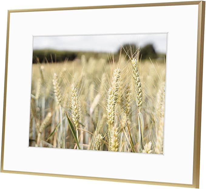 Golden State Art, Gallery Wall Frame Set of 6 - Gold 16x20 Aluminum Photo Frames with Mat for 11x14 Pictures - 16 x 20 inch Metal Frame with Real Glass Cover - Elegant Home or Office Decor