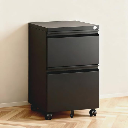 2 Drawer File Cabinet with Lock,Rolling Filing Cabinet with Wheels for Home Office,Under Desk Metal File Cabinet,Office Storage Organizer,Black