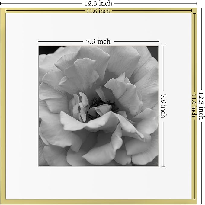 eletecpro Aluminum Gallery Wall Frame Set of 6, 12 x 12 Metal Photo Frames Display 8x8 Photo with Mat or 12x12 without Mat, Picture Frame Collage Wall Decor, Gold