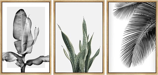 SIGNWIN Framed Canvas Print Wall Art Trio of Jungle Palms & Snake Succulents Floral Plants Photography Modern Art Minimalist Black and White for Living Room, Bedroom, Office - 24"x36"x3 Natural