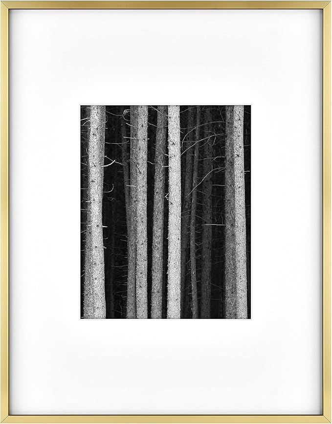MCS Master & Co. Foundry Metal 14x18 Matted Picture Frame with 8x10 Photo Display, Brass Vertical & Horizontal Wall Hanging Frame for Photos & Artwork (1-Pack)