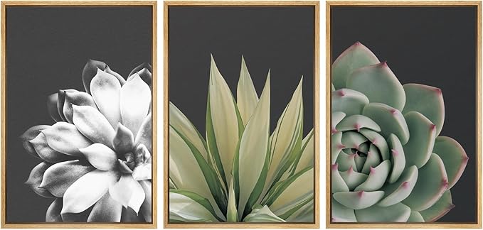 SIGNWIN Framed Wall Art Print Set Echeveria Succulent Variety Nature Plants Photography Modern Art Closeup Relax/Calm Dark Black and White for Living Room, Bedroom, Office - 16"x24"x3 Natural