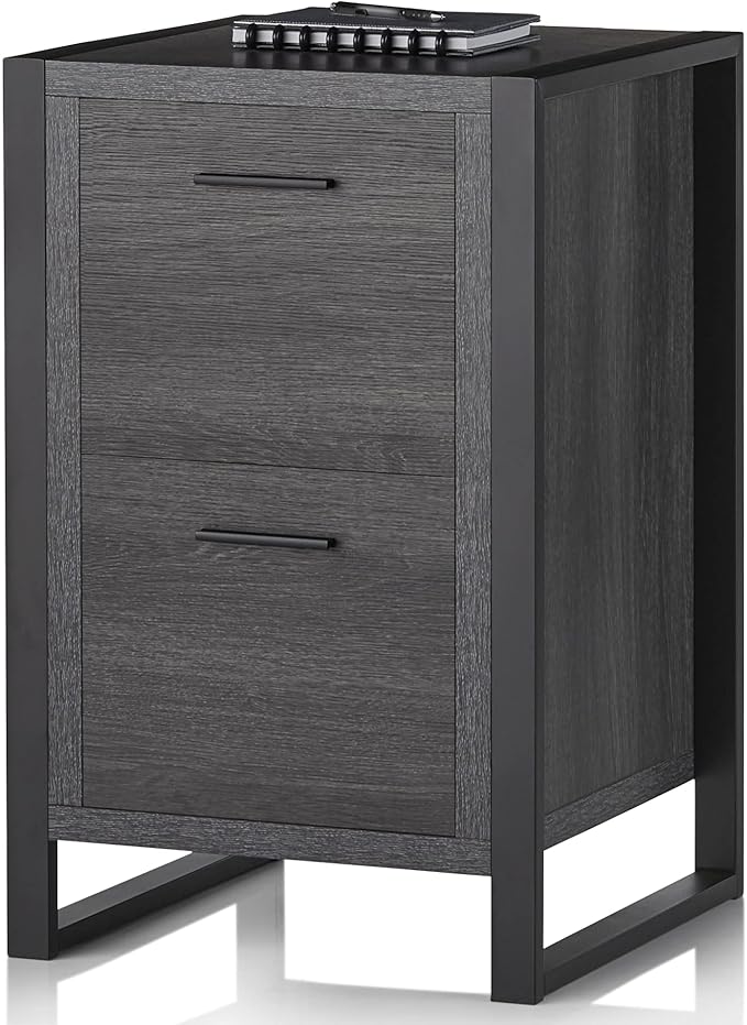 Realspace® DeJori 20" D Vertical 2-Drawer File Cabinet, Charcoal