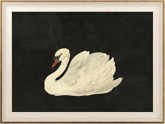 ASTRDECOR Vintage Framed Wall Art for Living Room, Vintage Swan Canvas Oil Painting for Bathroom Wall Decor, Classical Animal Framed Art for Home Decor Aesthetic, Zwaan Black and White Wall Art Prints for Bedroom Decor-12''x16''
