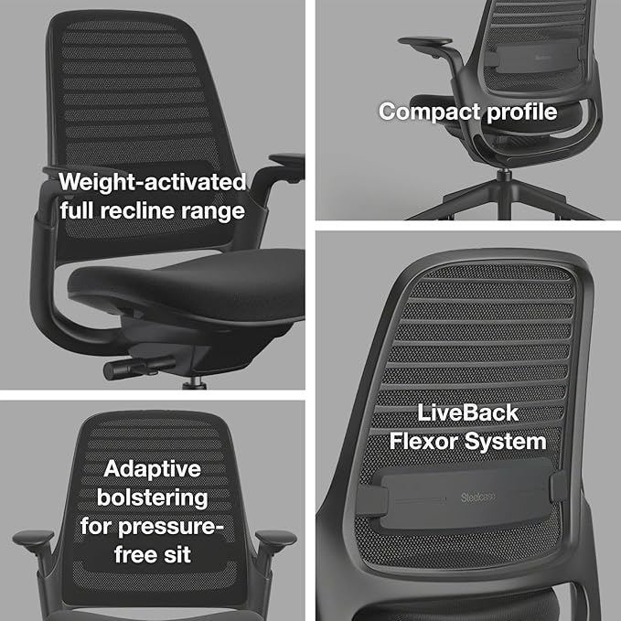 Steelcase Series 1 Office Chair - Ergonomic Work Chair with Wheels for Carpet - Helps Support Productivity - Weight-Activated Controls, Back Supports & Arm Support - Easy Assembly - Graphite, Light