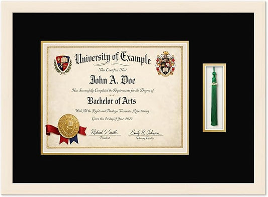 CountryArtHouse Diploma and Tassel Frame Fits 13 x 10 College Diploma (Traditional) with T Coastal Whitewash Genuine Hardwood Shadowbox with Black Over Metallic Gold Double mat