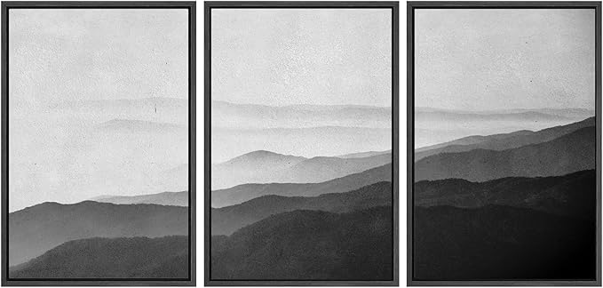 SIGNWIN Framed Canvas Print Wall Art Side of Mountain in Mist Nature Rocky Cozy Neutral Minimalism Contemporary Black and White for Living Room, Bedroom, Office - 24"x36"x3 Black