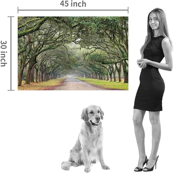 Hardy Gallery Green Forest Landscape Wall Art: Nature Canvas Oak Tree Lined Road of Savannah Artwork Picture Large Painting for Home Wall Decor (45'' x 30'' x 1 Panel)