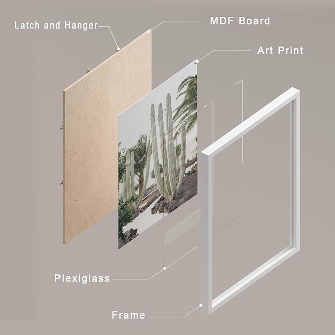 SIGNWIN Framed Poster Wall Art Set of Cactus Desert Nature Wilderness for Living Room, Bedroom, Office - 11"x14"x 8 White