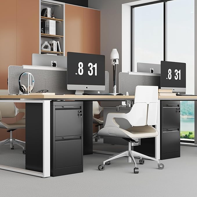 2 Drawer File Cabinet with Lock, Heavy Duty Steel Under Desk Vertical Filing Cabinet for Home Office Use, Printer Stand with Drawers, for A4/Letter-Size Files, Easy to Assemble,Black