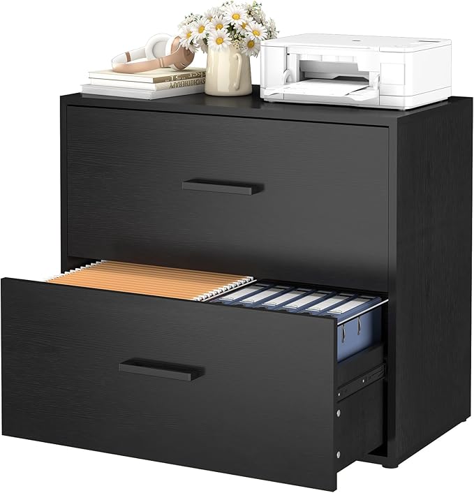 2 Drawer Lateral File Cabinet, Printer Stand Black Filing Cabinets for Home Office and School, Wood Rattan File Cabinet for Hanging Files/Letter/Legal Size, Black