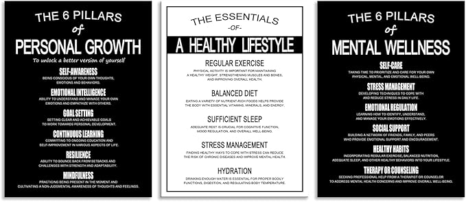 Motivational Wall Decor The 6 Pillars of Personal Growth, Mental Wellness & Healthy Lifestyle Posters - Set of 3 Inspirational Wall Art Prints for Office Home Gym Framed [36''Wx 16''H]