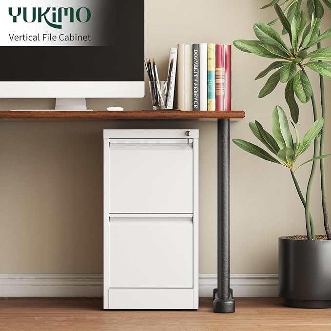 2 Drawer File Cabinet for Home Office, Vertical File Cabinet with Lock, Locking File Cabinet Hanging Files for A4/ Legal/Letter, Require Assembly, White