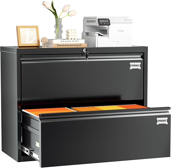 INTERGREAT 2 Drawer Lateral File Cabinet, Black Filing Cabinet with Lock, 28" W Steel Filing Storage Drawers with Name Tag, Horizontal File Cabinet for Home Office, Letter/Legal/F4/A4