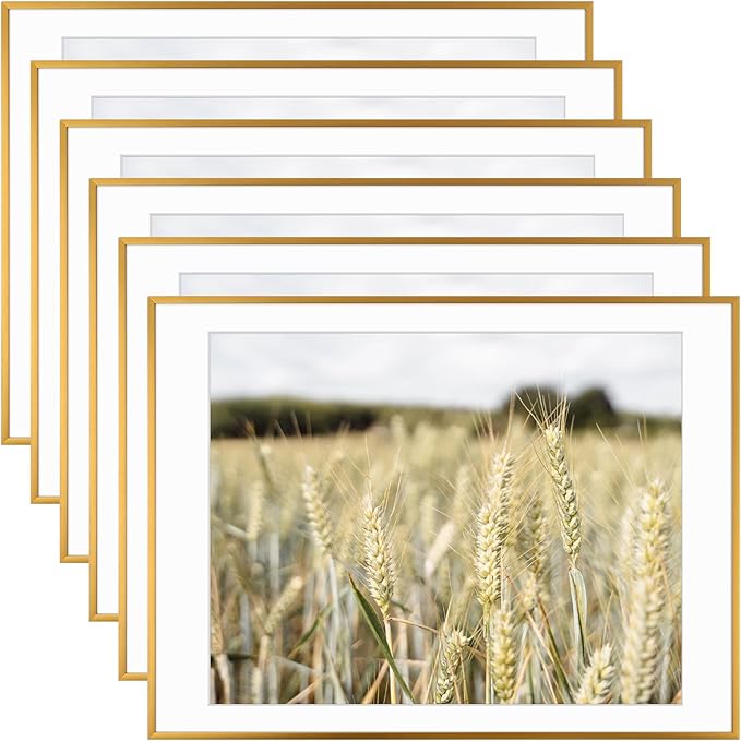 Golden State Art, Gallery Wall Frame Set of 6 - Bronze 18x24 Aluminum Photo Frames with Mat for 16x20 Pictures - 18 x 24 inch Metal Frame with Real Glass Cover - Elegant Home or Office Decor