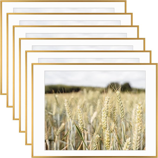 Golden State Art, Gallery Wall Frame Set of 6 - Bronze 18x24 Aluminum Photo Frames with Mat for 16x20 Pictures - 18 x 24 inch Metal Frame with Real Glass Cover - Elegant Home or Office Decor
