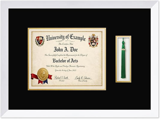 CountryArtHouse Diploma and Tassel Frame Fits 10 x 8 Professional License with Tassel Hook Bright White Genuine Hardwood Shadowbox with Black Over Metallic Gold Double mat