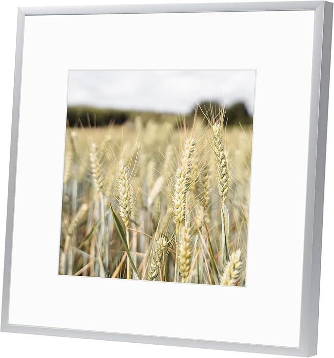 Golden State Art, Gallery Wall Frame Set of 6 - Silver 12x12 Aluminum Photo Frames with Mat for 8x8 Pictures - 12 x 12 inch Metal Frame with Real Glass Cover - Elegant Home or Office Decor