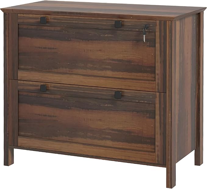 2 Drawer File Cabinet with Lock,Modern Farmhouse Home Office Filing Organizer for Letter Legal A4 Size File Folder Storage,Lateral Filing Cabinet with Keys and Adjustable Hanging Bar (Style-01)