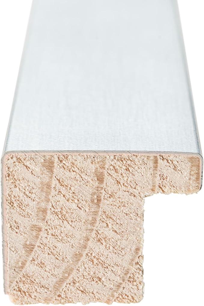 Diploma Frame With Photo Opening Stainless Silver Navy Blue Over Gold Mat - Fits 11 x 14 Degree and Picture Made in the USA
