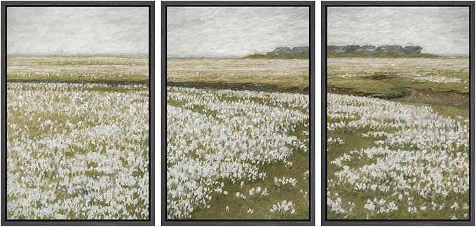 SIGNWIN Framed Canvas Print Wall Art Set White Daisy Flower Country Farm Field Nature Abstract Illustrations Decorative Nordic for Living Room, Bedroom, Office - 24"x36"x3 Black