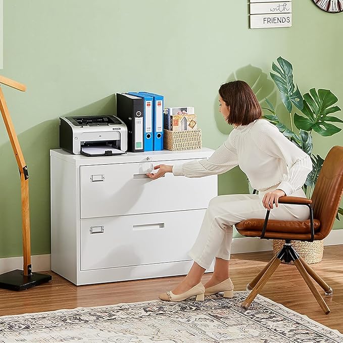 2 Drawer Metal Filing Organization Office Cabinets with Lock,Lateral File Cabinets for Home Office Hanging Files Letter/Legal/F4/A4 Size (2 Drawer-White)
