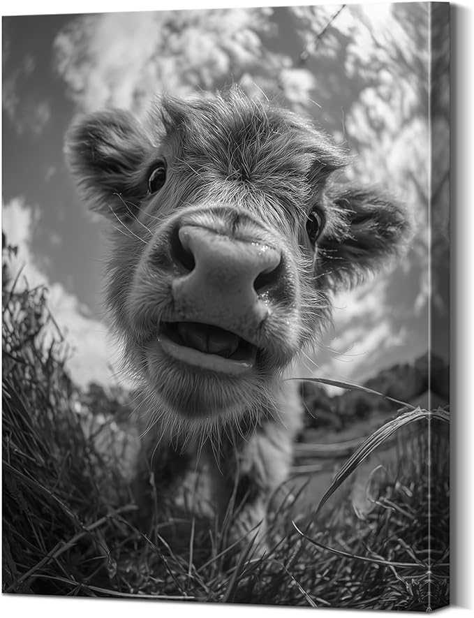 YOUHONG Highland Cow Decor Highland Cow Wall Art Farmhouse Wall Decor Modern Farmhouse Pictures Canvas Print with Wooden Frame, Lightweight Animal Poster for Living Room 12x15.7 Inch
