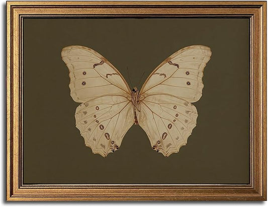 Gold Framed Wall Art Vintage Butterfly Canvas Wall Art White Butterfly Moody Insect Artwork Prints Picture for Living Room Bedroom Farmhouse Bathroom Office Decor, 12x16