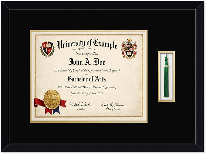 CountryArtHouse Diploma and Tassel Frame Fits 14 x 11 College Diploma (Modern) with Tassel Hook Matte Black Genuine Hardwood Shadowbox with Black Over Metallic Gold Double mat