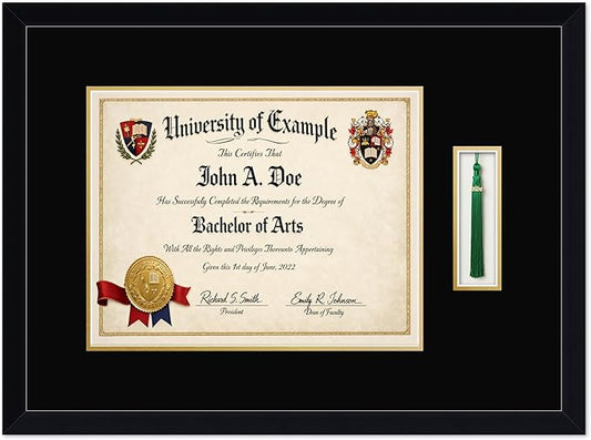 CountryArtHouse Diploma and Tassel Frame Fits 14 x 11 College Diploma (Modern) with Tassel Hook Matte Black Genuine Hardwood Shadowbox with Black Over Metallic Gold Double mat