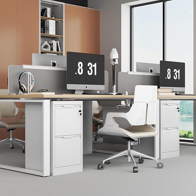 2 Drawer File Cabinet with Lock, Heavy Duty Steel Under Desk Vertical Filing Cabinet for Home Office Use, Printer Stand with Drawers, for A4/Letter-Size Files, Easy to Assemble,White