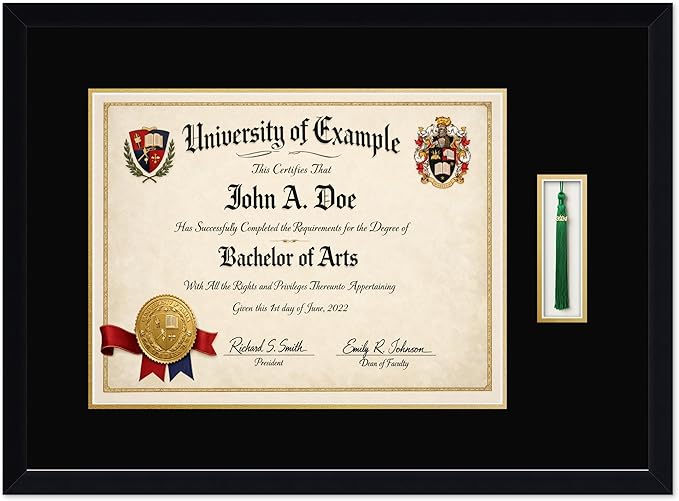 CountryArtHouse Diploma and Tassel Frame Fits 17 x 13 International Diploma with Tassel Hook Matte Black Genuine Hardwood Shadowbox with Black Over Metallic Gold Double mat
