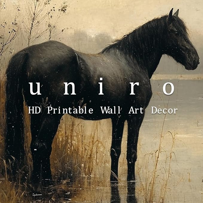 uniro Black Horse Vintage Wall Art Moody Landscape Prints Retro Wall Art Lake Dark Cottagecore Art Foggy Rustic Wall Decor DarkMoodyWallArt(8" x 10"-UNFRAMED)