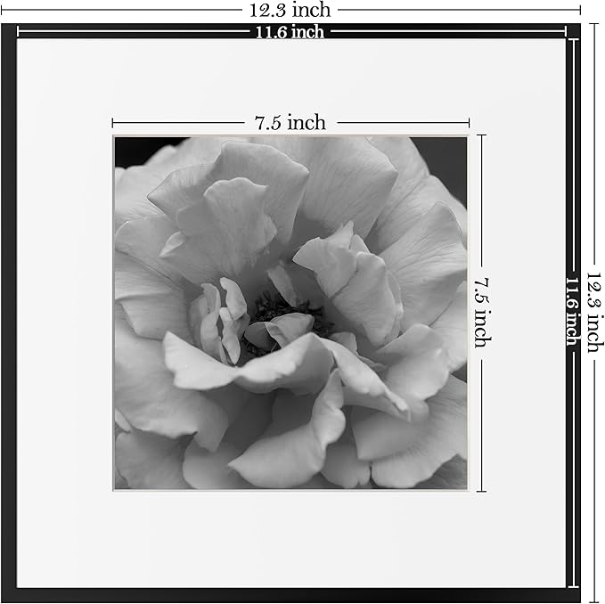 eletecpro Aluminum Gallery Wall Frame Set of 6, 12 x 12 Metal Photo Frames Display 8x8 Photo with Mat or 12x12 without Mat, Picture Frame Collage Wall Decor, Black