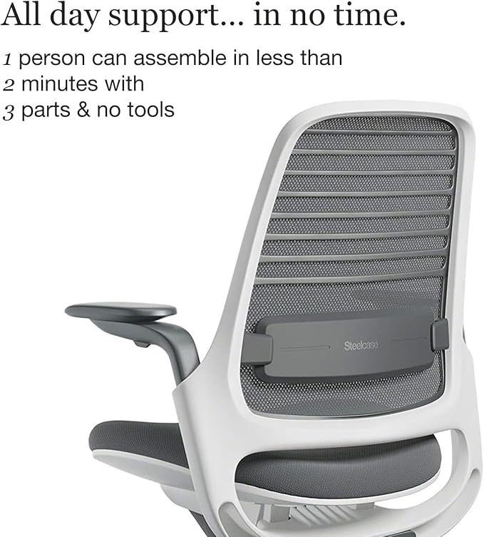 Steelcase Series 1 Office Chair - Ergonomic Work Chair with Wheels for Carpet - Helps Support Productivity - Weight-Activated Controls, Back Supports & Arm Support - Easy Assembly - Graphite, Light