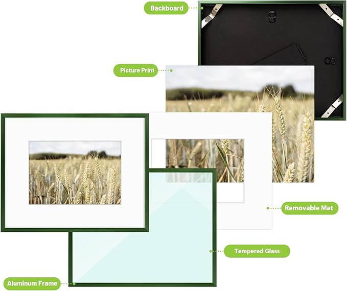 Golden State Art 8x10 Picture Frame 6 Pack - Dark Green Aluminum Photo Frames With 5x7 Mats and Real Glass Cover - Elegant Minimalist Wall Gallery Frames for Home or Office Decor