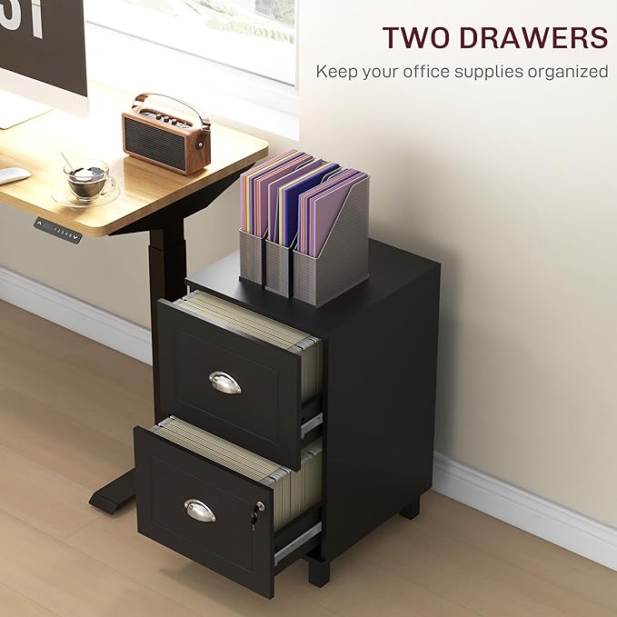 HOMCOM 2 Drawer File Cabinet, Lockable Filing Cabinet with Adjustable Hanging Bars for A4 and Letter for Home Office, Black