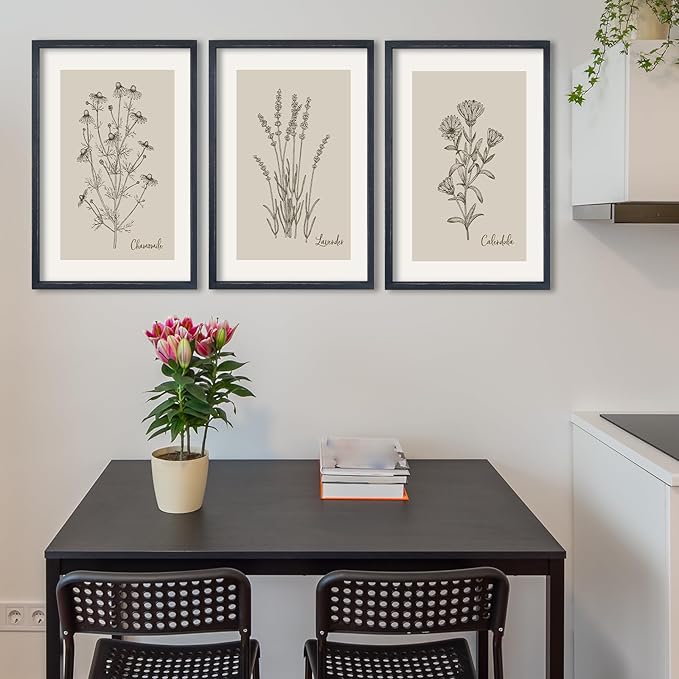 TQianJiang Set Of 3 Framed Vintage Botanical Prints Wall Art 16"×11" Wildflower Pictures Wall Decor for Bedroom Bathroom Living Room Minimalist Line Drawing Neutral Tones Wall Hanging (Black)