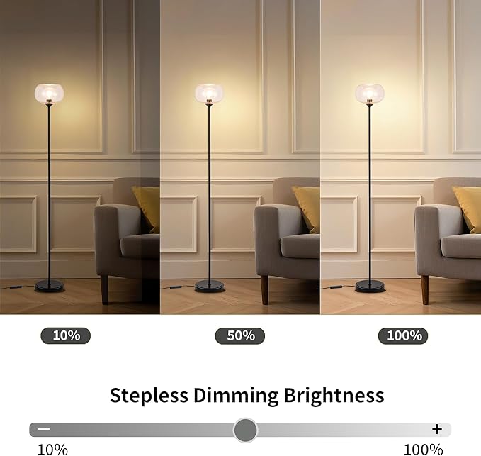 MAYNA Globe Floor Lamp, Clear Round Glass Standing Lamp with Built-in Timer Switch, Black Tall Industrial Lamps for Living Room Bedroom, 2700K LED Bulb Included