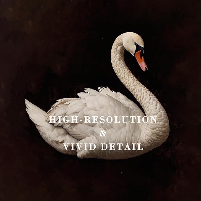 Kizbok Vintage Wall Art Decor - Classical Dark Swan Canvas Art Prints - Nursery Wall Decor - Antique Watercolor Swan - Pictures for Bedroom, Bathroom, Office Decor (8" x 10" - UNFRAMED)
