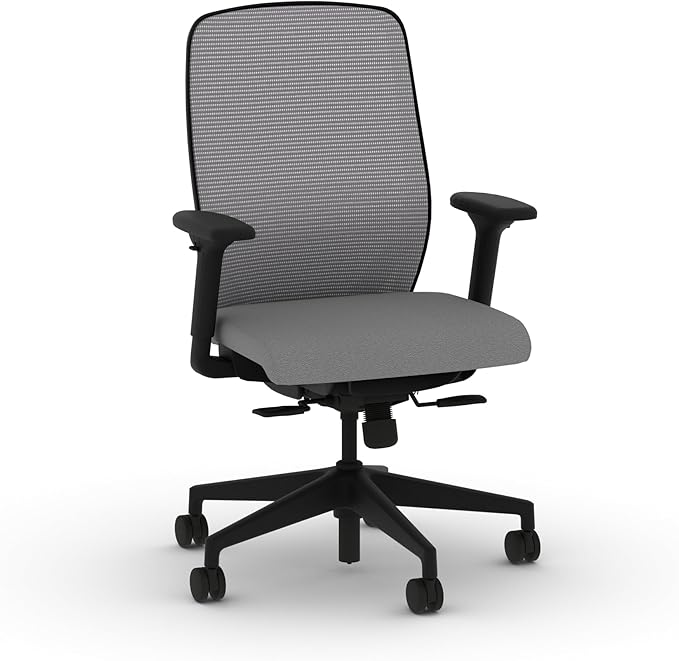 HON Nucleus Task Chair, Standard Synchro-Tilt Control, Office Chair with Lumbar Support, Height and Width Adjustable Arms, Black Frame, Frost