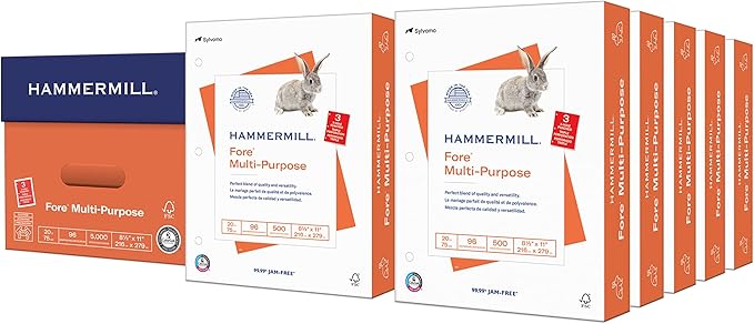 Hammermill Printer Paper, Fore Multipurpose 20 lb Copy Paper, 3 hole - 10 Ream (5,000 Sheets) - 96 Bright, Made in the USA, 103275C