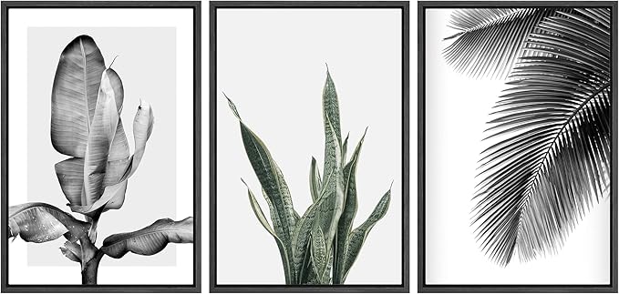 SIGNWIN Framed Canvas Print Wall Art Trio of Jungle Palms & Snake Succulents Floral Plants Photography Modern Art Minimalist Black and White for Living Room, Bedroom, Office - 24"x36"x3 Black