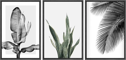 SIGNWIN Framed Canvas Print Wall Art Trio of Jungle Palms & Snake Succulents Floral Plants Photography Modern Art Minimalist Black and White for Living Room, Bedroom, Office - 24"x36"x3 Black
