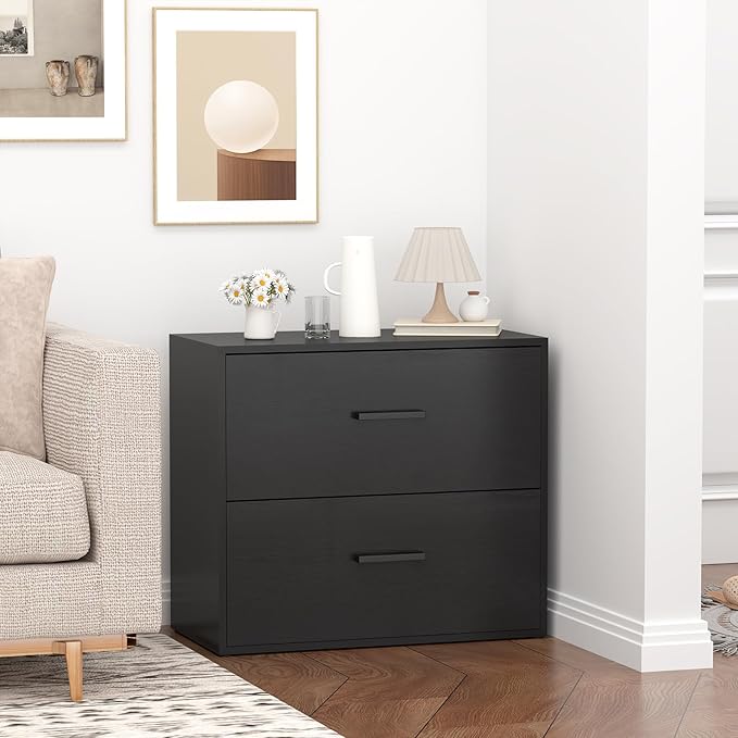 Lateral File Cabinet, Wood 2 Drawer File Cabinet with Hanging Bars for Letters, Black Horizontal File Cabinets for Home Office, Black